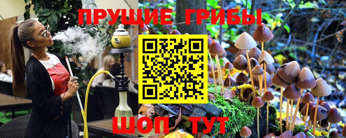 Заречный  Галлюциногенные грибы Cubensis  Вход с VPN  Галлюциногенные грибы мухоморы 